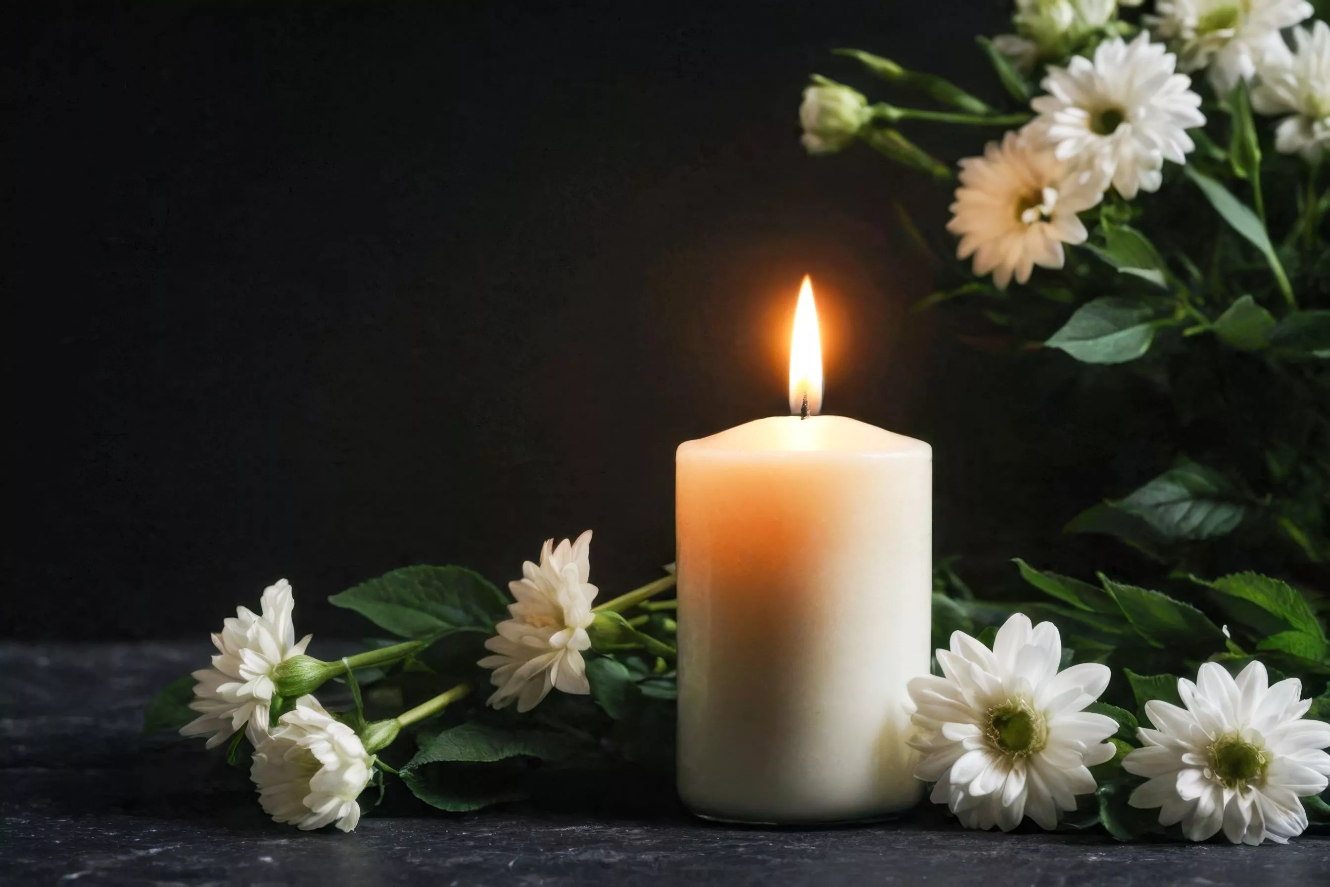 Eine Kerze, umgeben von weißen Blumen